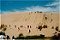 Sand dunes, 90 mile beach, North Island