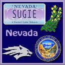 square 83, Sugie