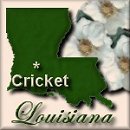 square 61, Cricket