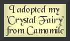 adoption certificate