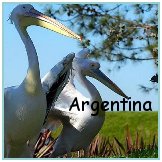 Argentina, August 2004