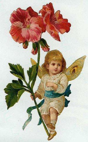 Card from Lady Red