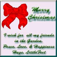 merry christmas, little feet
