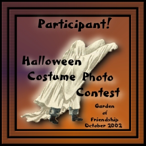 Participant Award
