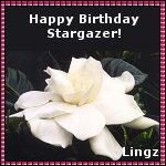 Lingz