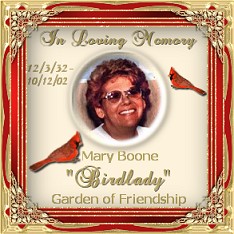 In Loving Memory of Birdlady