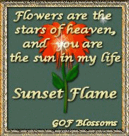 Sunset Flame