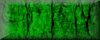 green blank