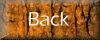 orange back
