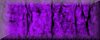 purple blank