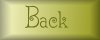 yellow back