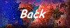back4
