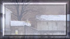 blankcard3