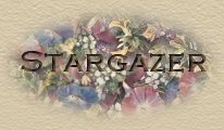 Stargazer's Galaxy