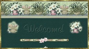 Top Border Welcome 2