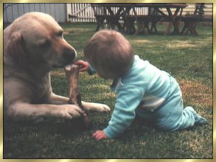 Trying to get Barney's bone