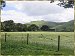 View from the back of the block