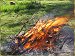 Burning off