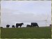 Local Residents at the windmills