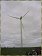 One of the windmills