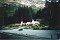 Walter Peake High Country Farm, Queenstown, South Island