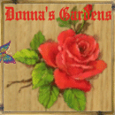 square 33, donna