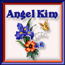 square 37, angel kim