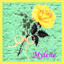 square 64, Mye