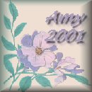 square 79, Amy