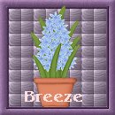 Breeze