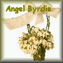 square 3, angel byrdie