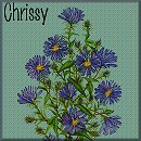 Chrissy