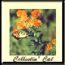 square 50, collectin' cat