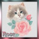 square 46, rose