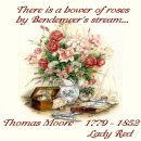 Lady Red