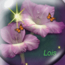 square 71, Lois