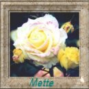 square 26, mette