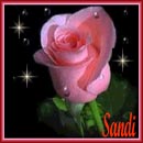 square 53, sandi