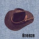 Breeze