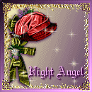 Night Angel