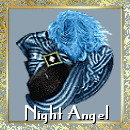 Night Angel