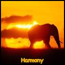 Harmony