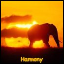 Harmony