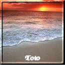 Toto