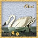 Cheri