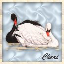 Cheri