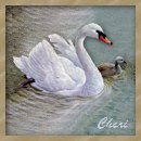 Cheri