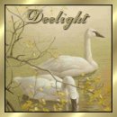 Deelight