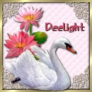 Deelight