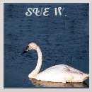 Sue W